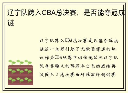 辽宁队跨入CBA总决赛，是否能夺冠成谜